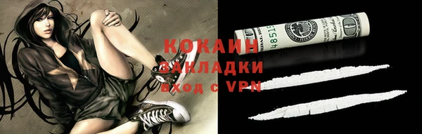 ГАЛЛЮЦИНОГЕННЫЕ ГРИБЫ Каменка