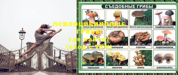 ГАЛЛЮЦИНОГЕННЫЕ ГРИБЫ Каменка