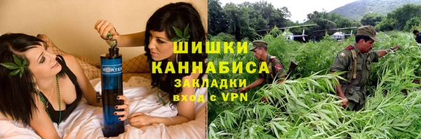 ALPHA PVP Иннополис