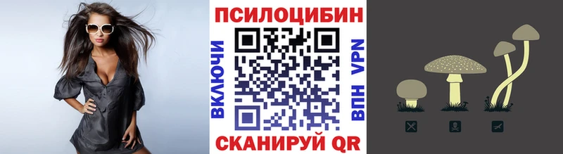 Купить где  Краснозаводск  Галлюциногенные грибы Magic Shrooms 